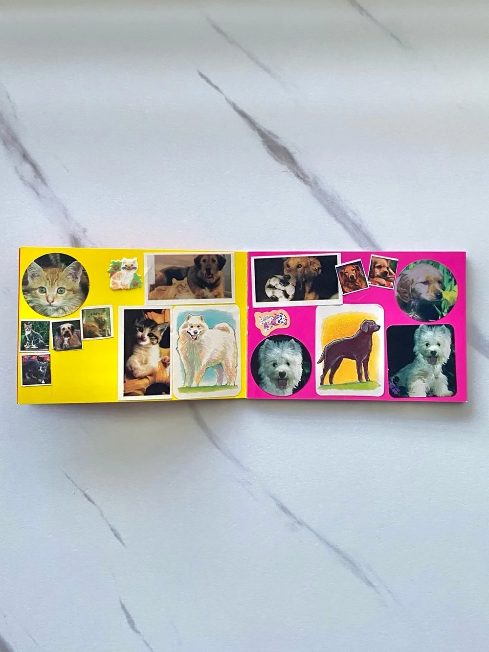 VTG Lisa Frank Hunter leopard small used sticker collection booklet